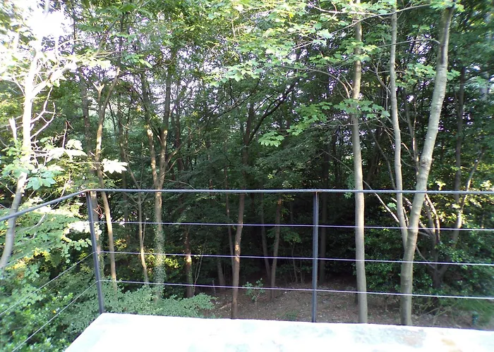 Varesello 20 *